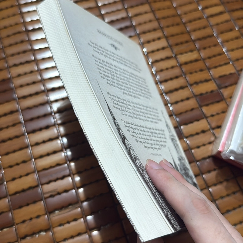 Những cái bóng sống - Cornelia Funke 530984