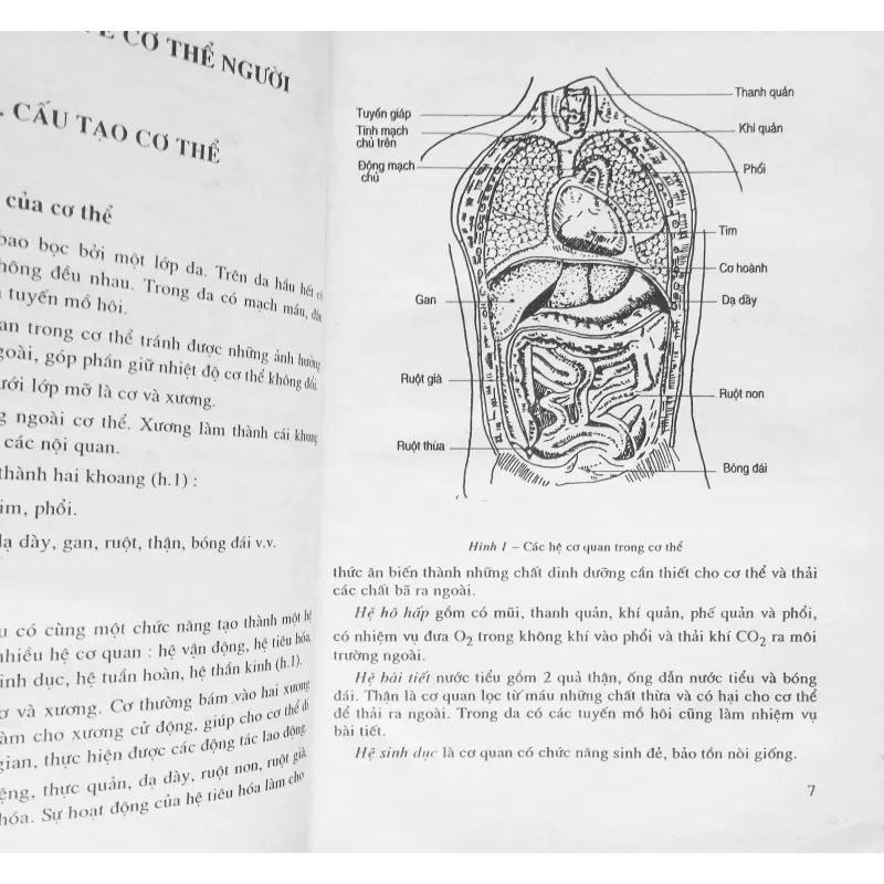 Sinh học lớp 9 xưa (Tập một) 7934