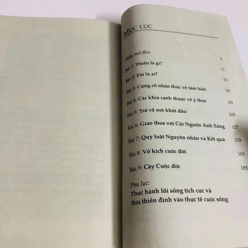 DƯỚI ÁNH SÁNG CỦA THIỀN 735182