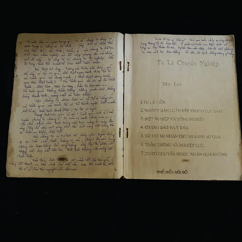 Tu là chuyển nghiệp  731735