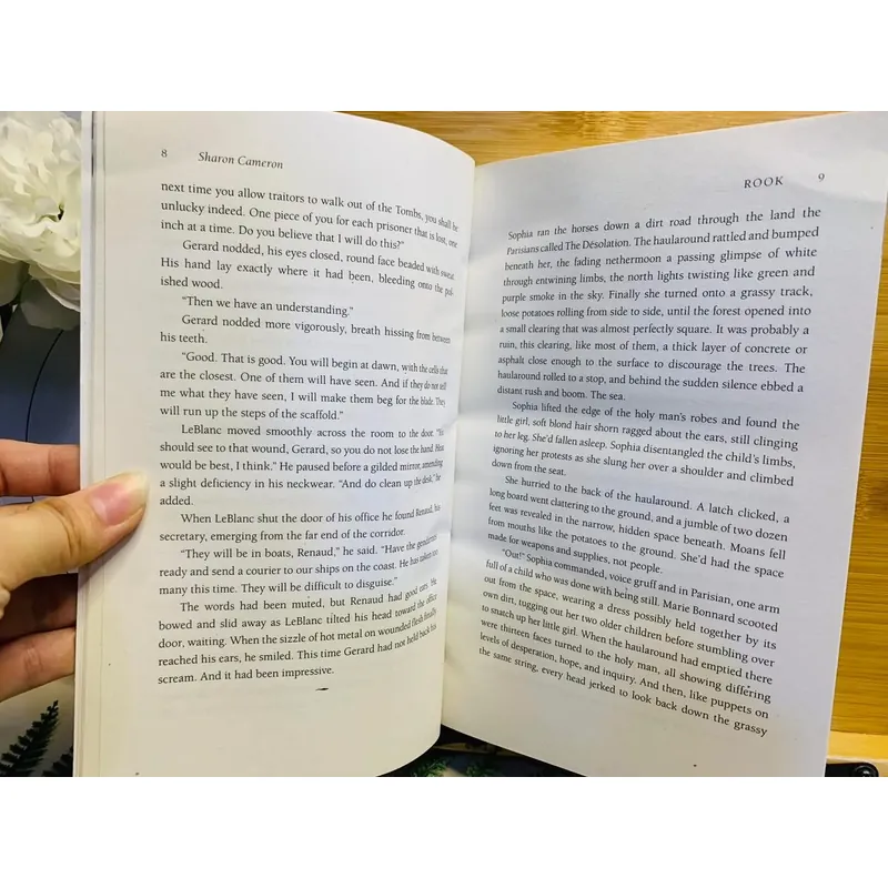 [Sách tiếng Anh 2hand] Like new 90% - Rook - Sharon Cameron 604942