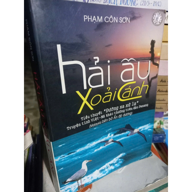 hải âu xoải cánh 364025