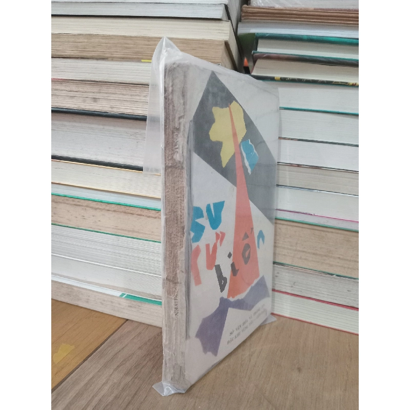 Sư tử biển 731733