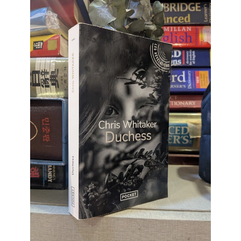 Duchess - Chris Whitaker 997368