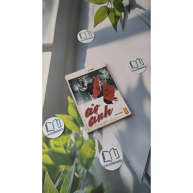 [XƯA] [HIẾM] Ảo Ảnh (1992) - Sĩ Hồng 997590