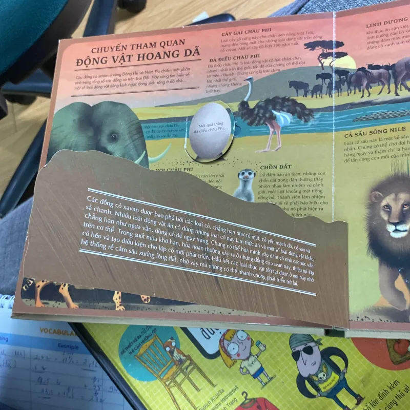 Atlas da tương tác  về động vật hoang dã 766035