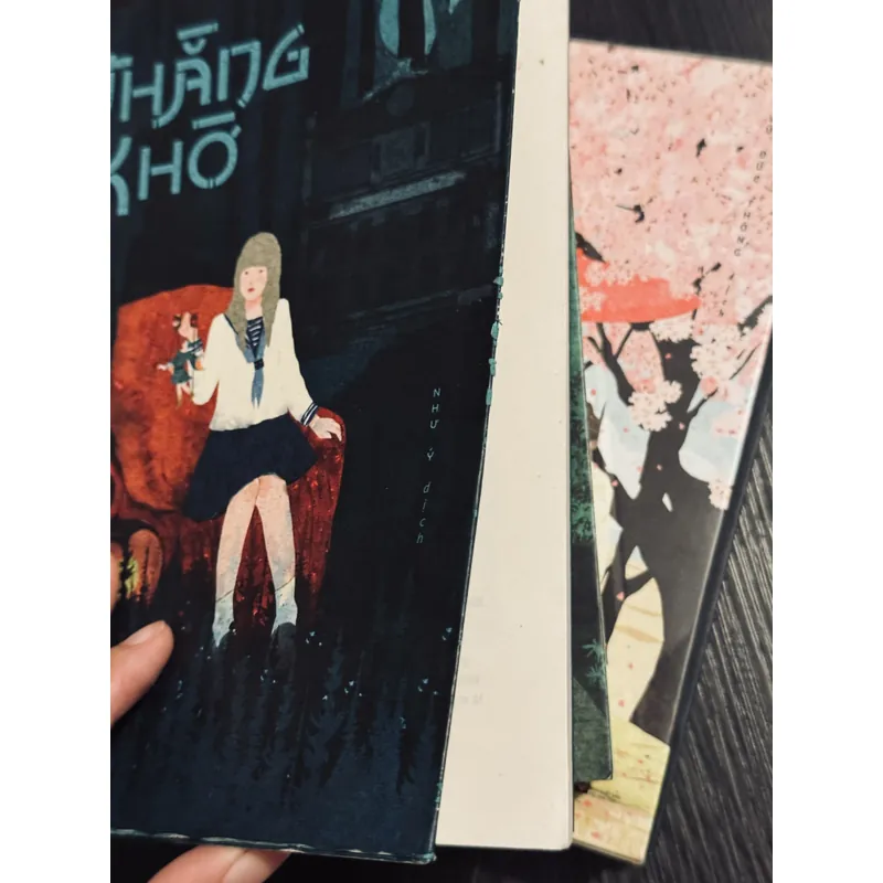 Trọn bộ 5 cuốn sách Yonezawa Honobu 592283
