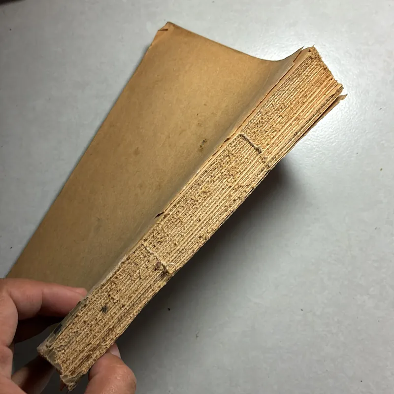 Bức hoạ maja khoả thân 736539