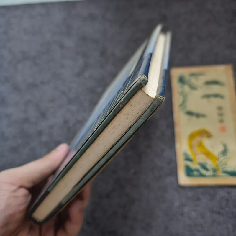 Across - Peter Handke 740774