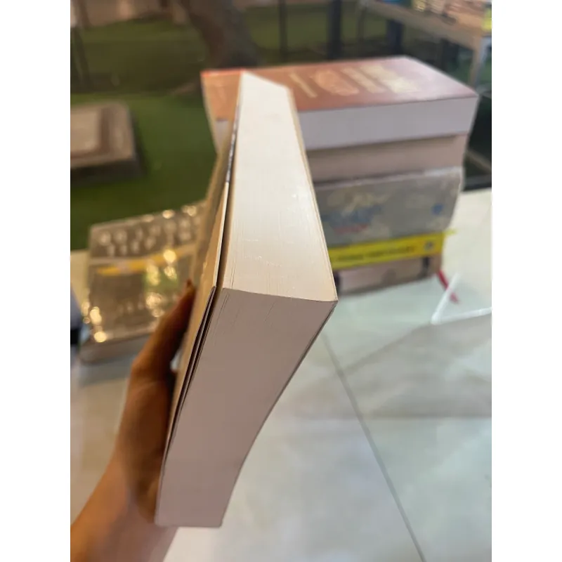 VIỆT NAM VÀ CUỘC CHIẾN TRUNG - PHÁP - LONG CHƯƠNG (NGUYỄN DUY CHÍNH dịch)  1034573