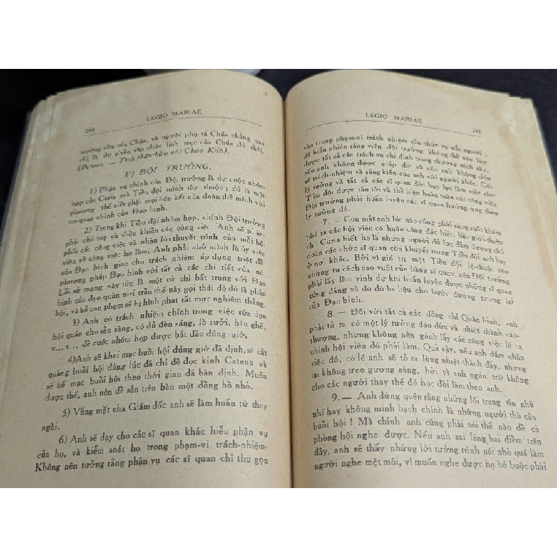 Đạo binh đức mẹ 449278
