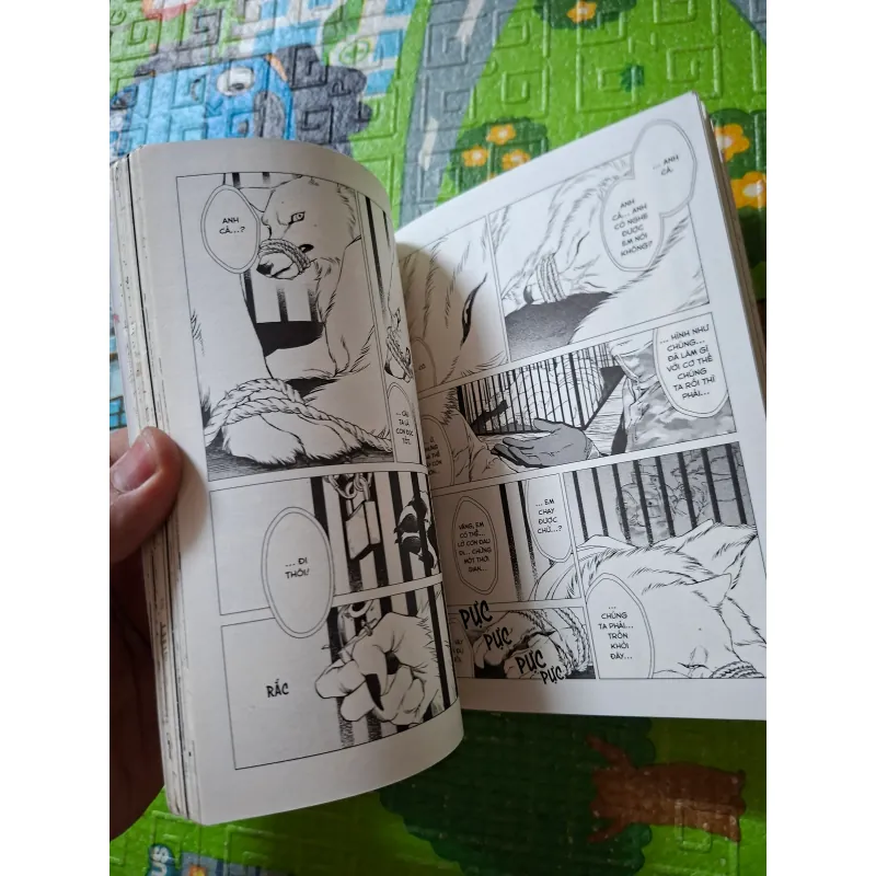 Wolf Pack (Tộc Sói) 1021260