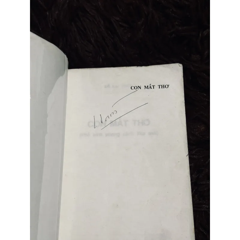 Con mắt thơ 1030666