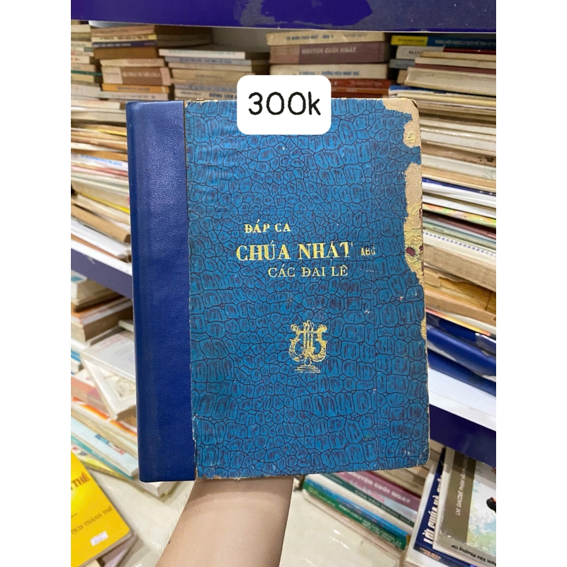 Đáp ca Chúa Nhật các đại lễ 331354