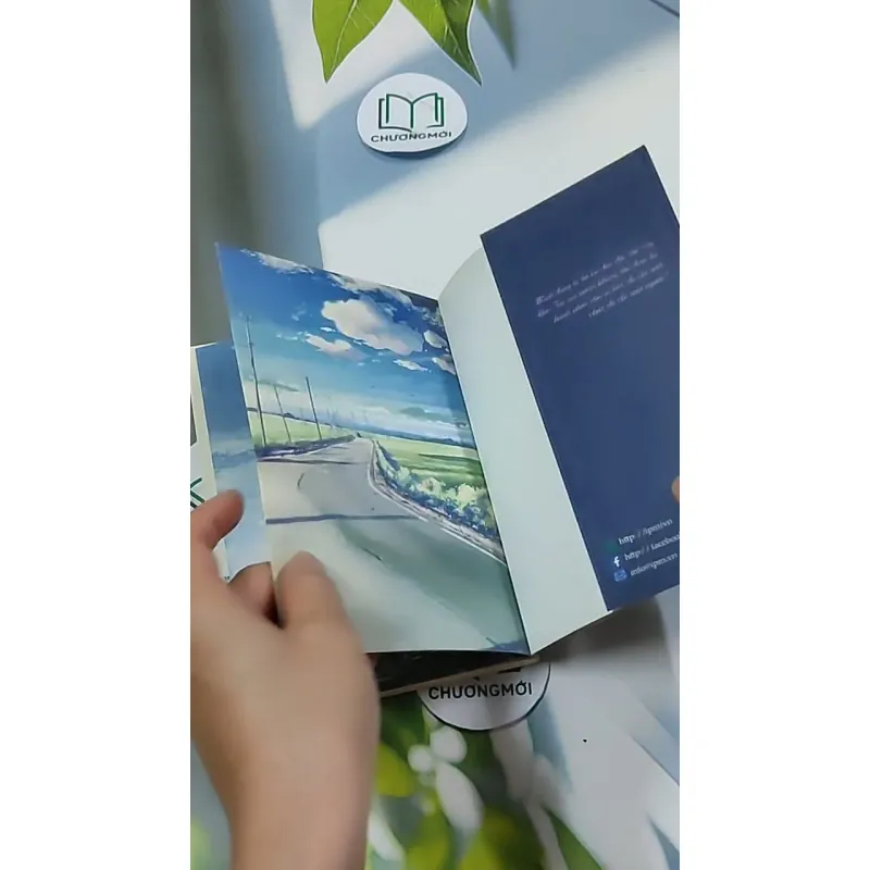 5 Centimet Trên Giây 703136