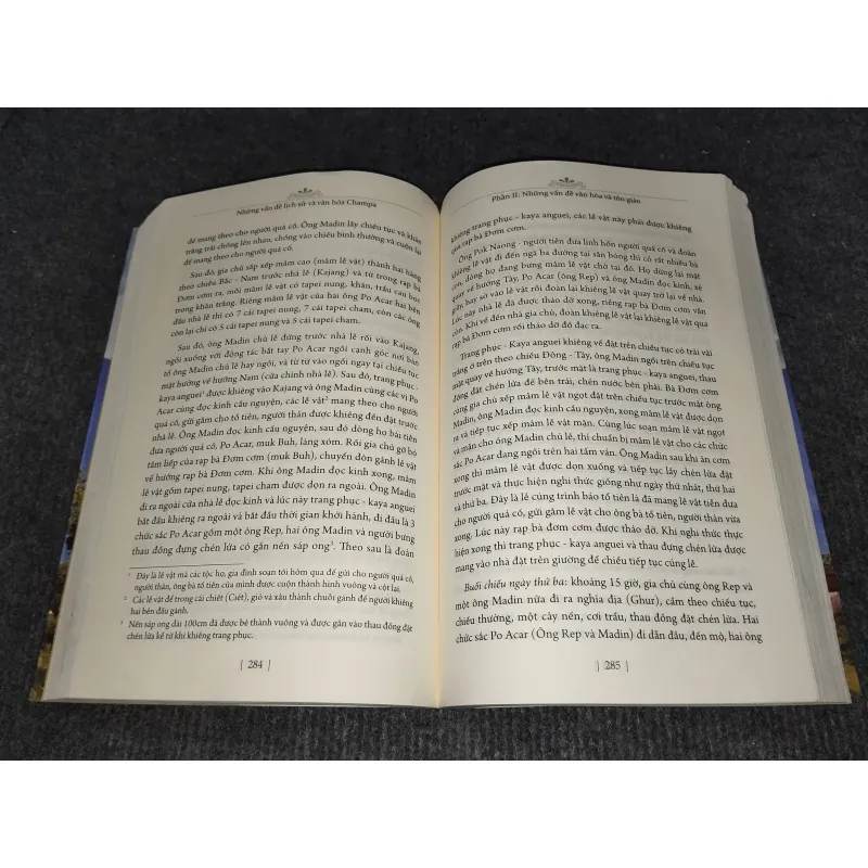 NHỮNG VẤN ĐỀ LỊCH SỬ VÀ VĂN HOÁ CHAMPA 992274