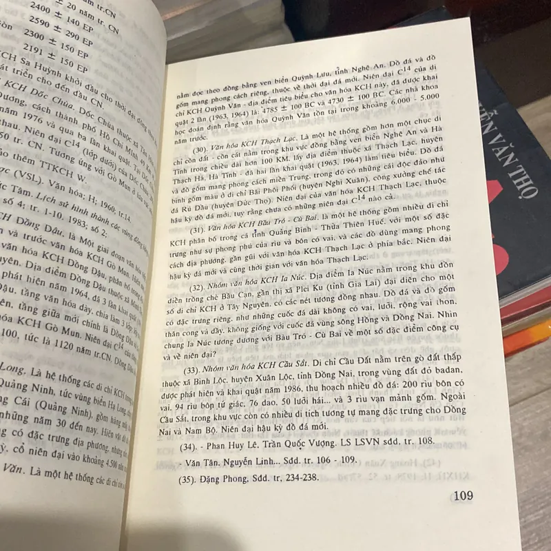 VIỆT NAM - THỜI CỔ XƯA (Từ khởi thủy đến năm 40-43 sau Công Nguyên), xb năm 2000 699270
