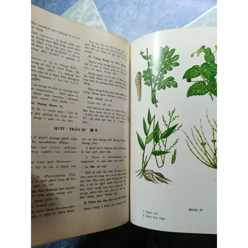 Những cây thuốc và vị thuốc Việt Nam - Dỗ Tất Lợi 974150