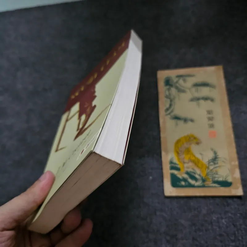 Người chậm - Coetzee 746283