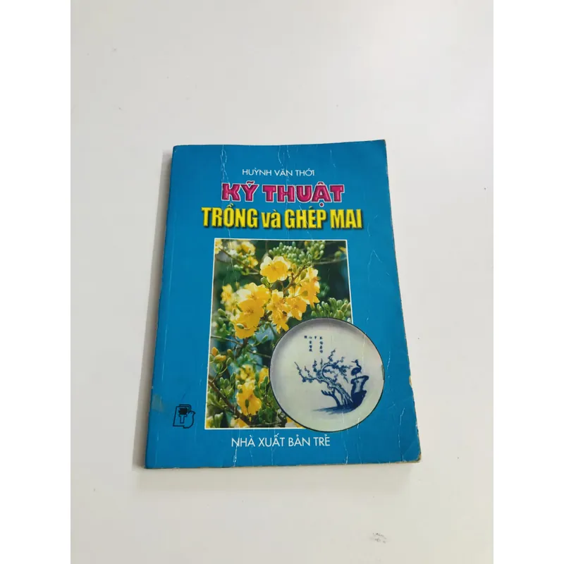KỸ THUẬT TRỒNG VÀ GHÉP MAI 595067