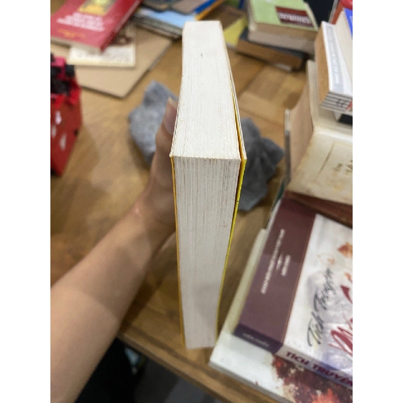 Kinh tế học dành cho doanh nhân - Sholomo Maital 355407