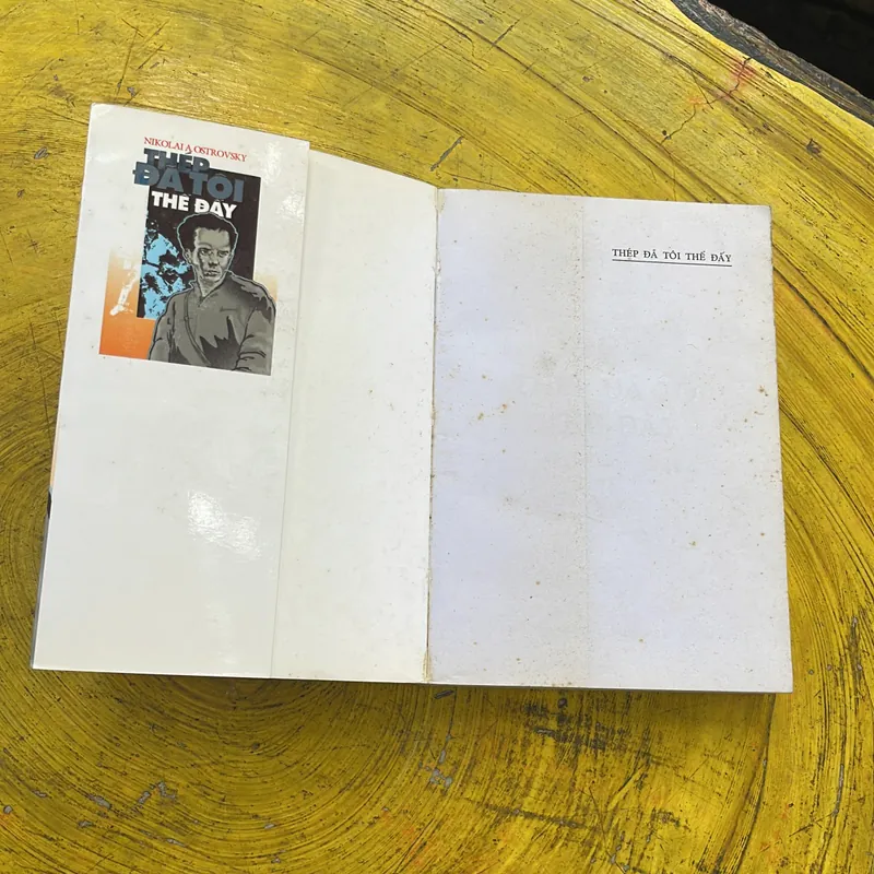 THÉP ĐÃ TÔI THẾ ĐẤY- NIKOLAI A. OSTROVSKY 604712