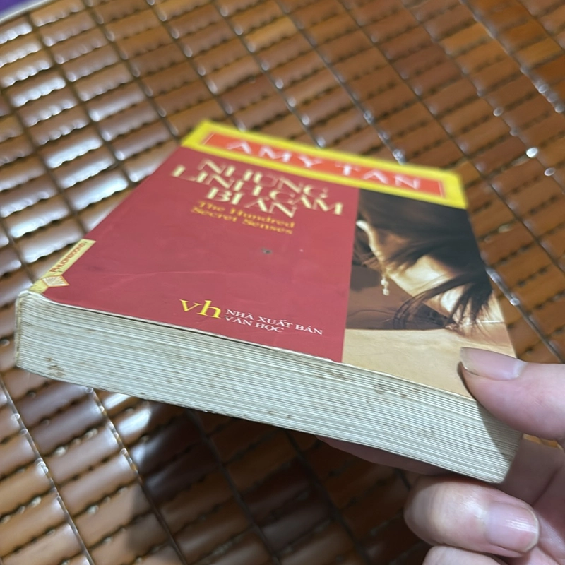 Những linh cảm bí ẩn - Amy Tan 534270