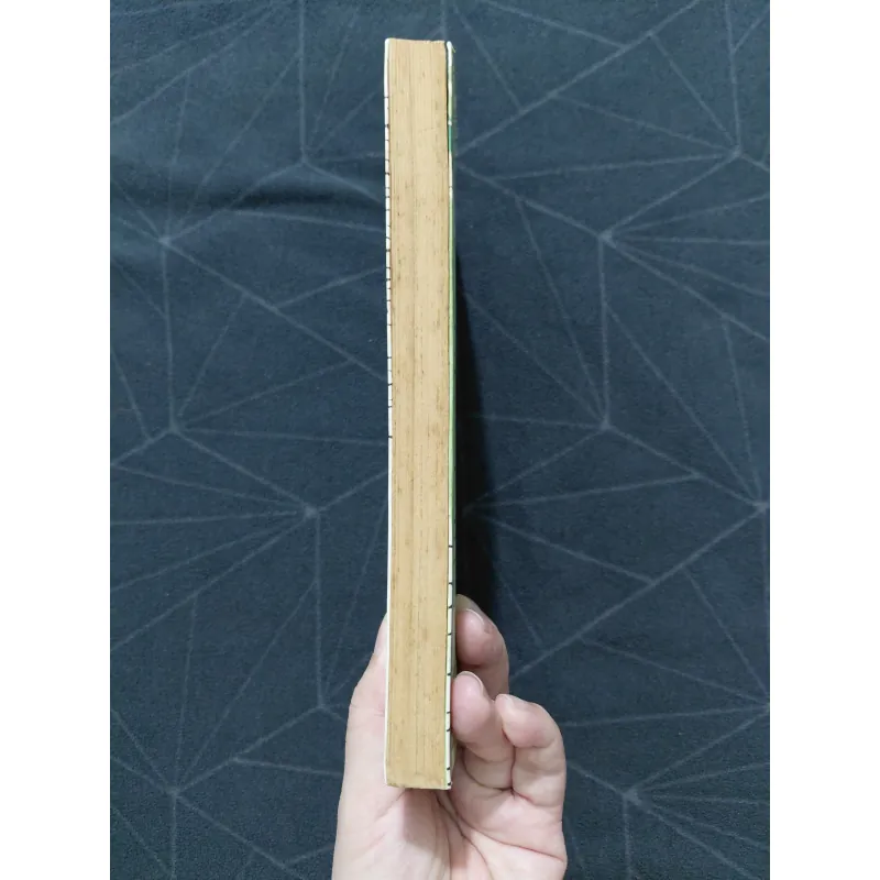 "Nếu biết trăm năm là hữu hạn" - Phạm Lữ Ân 797952