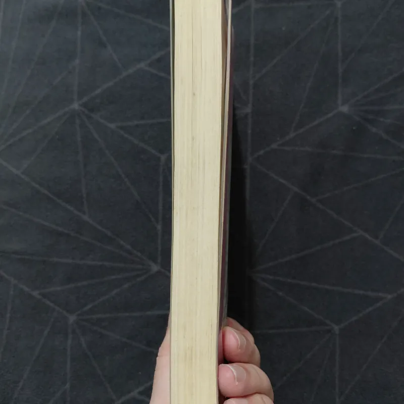 "Hãy kể giấc mơ của em" - Sidney Seldon 1019927