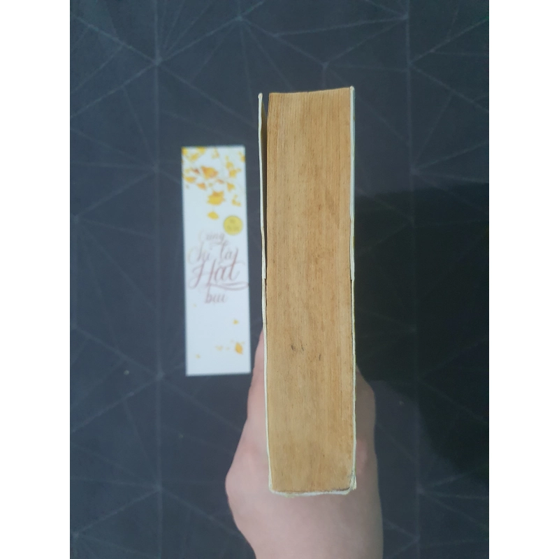 "Cũng chỉ là hạt bụi" - Mộc Phù sinh 476065