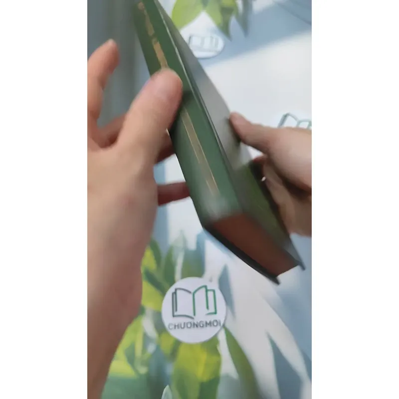 [MIỄN PHÍ BỌC SÁCH] A Book of Russian Idioms Illustrated - M.I. Dubrovin 749410