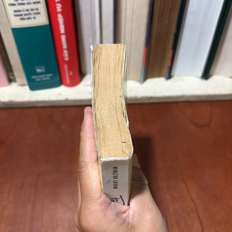 II Văn Học: Forrest Gump (Tiểu Thuyết) - WINSTON GROOM - 2013 734485