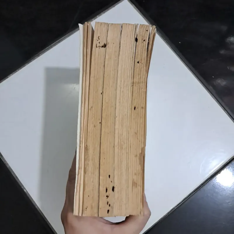 Tiết đinh san chinh tây- Tô chuân 994104