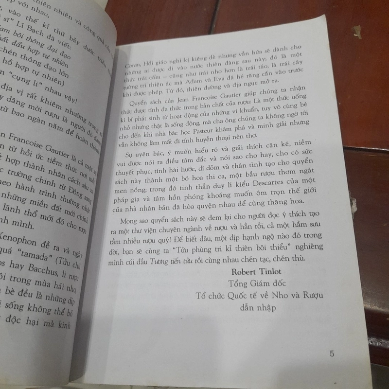 RƯỢU trong đời sống văn hóa Phương Tây 518811