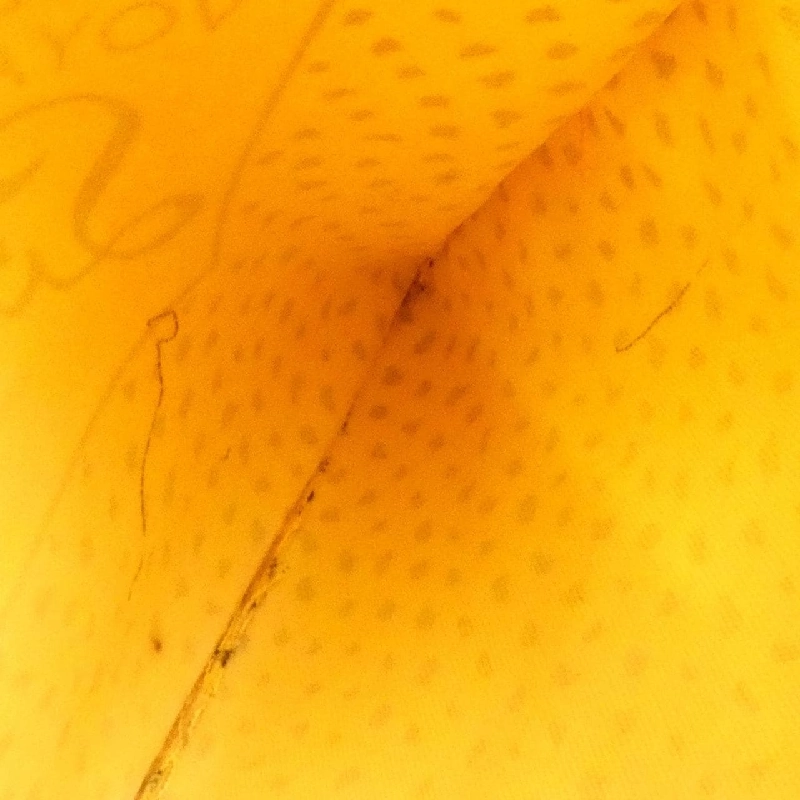 Túi xách Louis Vuitton Monogram Wave (Yayoikusa) Neverfull MM M40685 - Hàng hiệu Chính hãng 802125