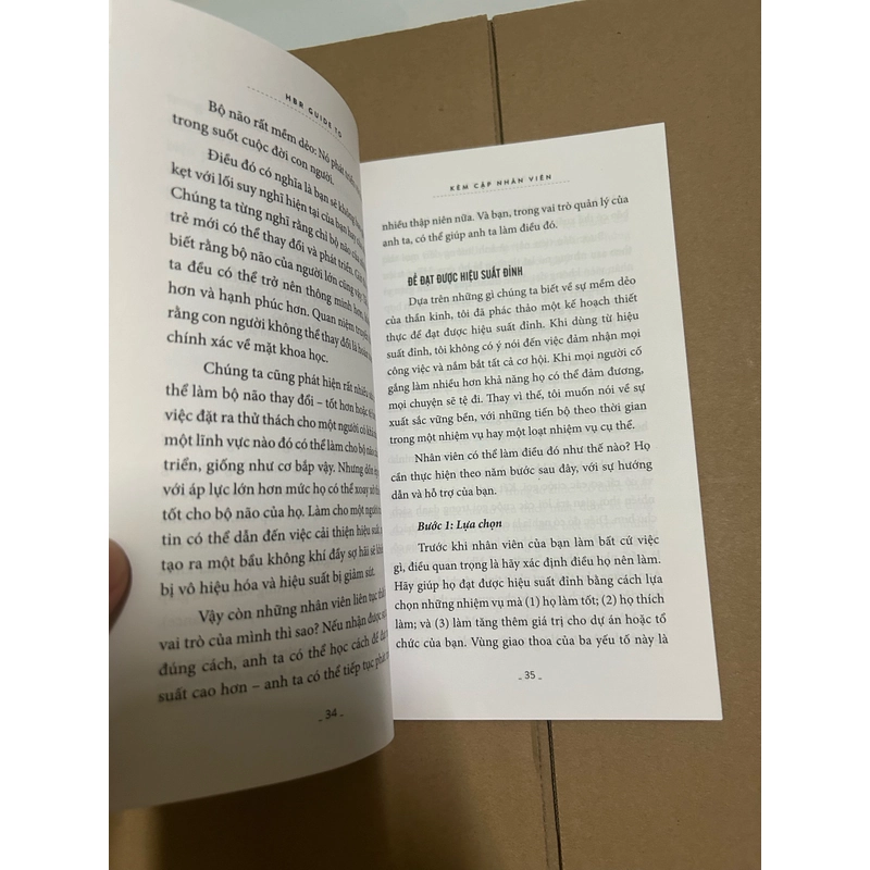 Kèm cặp nhân viên 504265