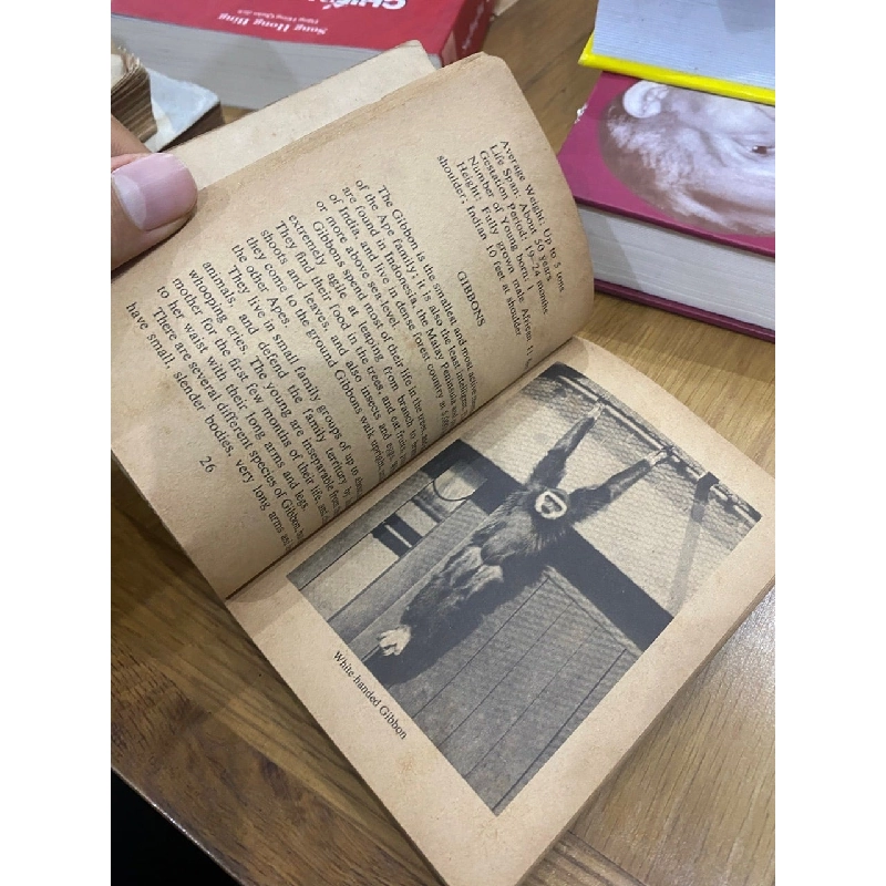 Let’s Go To The Zoo - Nick Henderson 546871