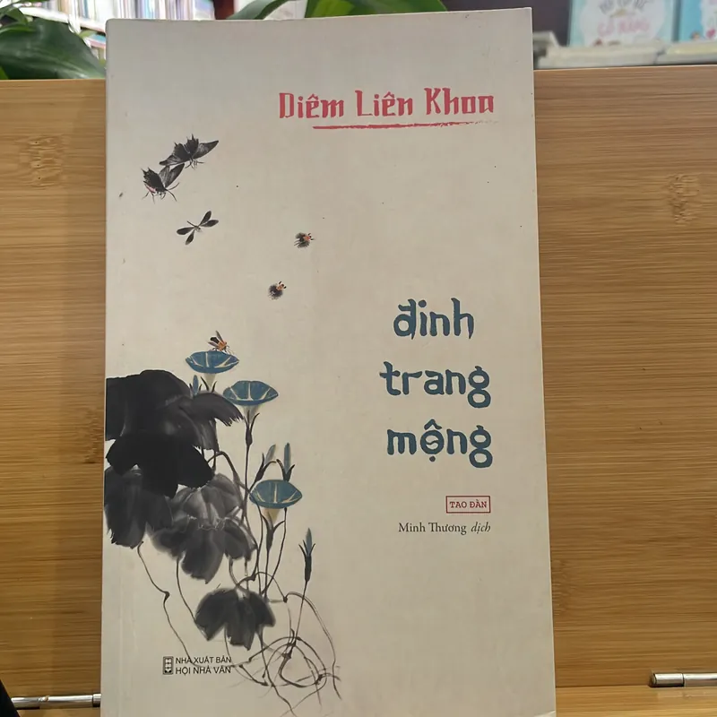 Đinh Trang Mộng Diêm liên khoa 740657