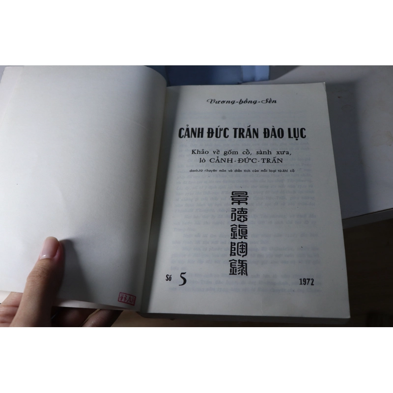 CẢNH ĐỨC TRẤN ĐÀO LỤC - VƯƠNG HỒNG SỂN 477478