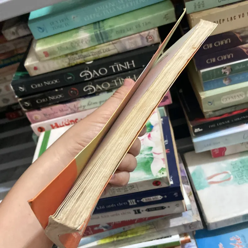 Đài các tiểu thư - Hồng Sakura 970182