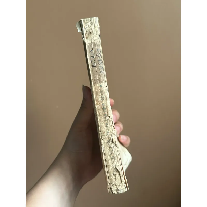 Số Phận Lịch Sử Của Chủ Nghĩa Hiện Thực - Bôrix Xuskov 731620