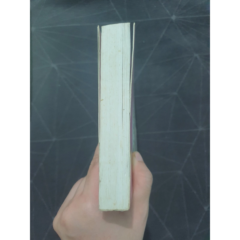 "Câu được con rùa vàng" - Không Hữu Cố Sự 496656