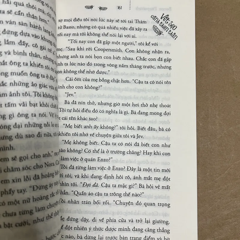 Vết sẹo cánh thiên thần 3 1022901