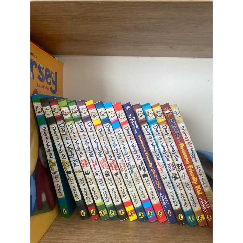 Diary of a wimpy kid 499534