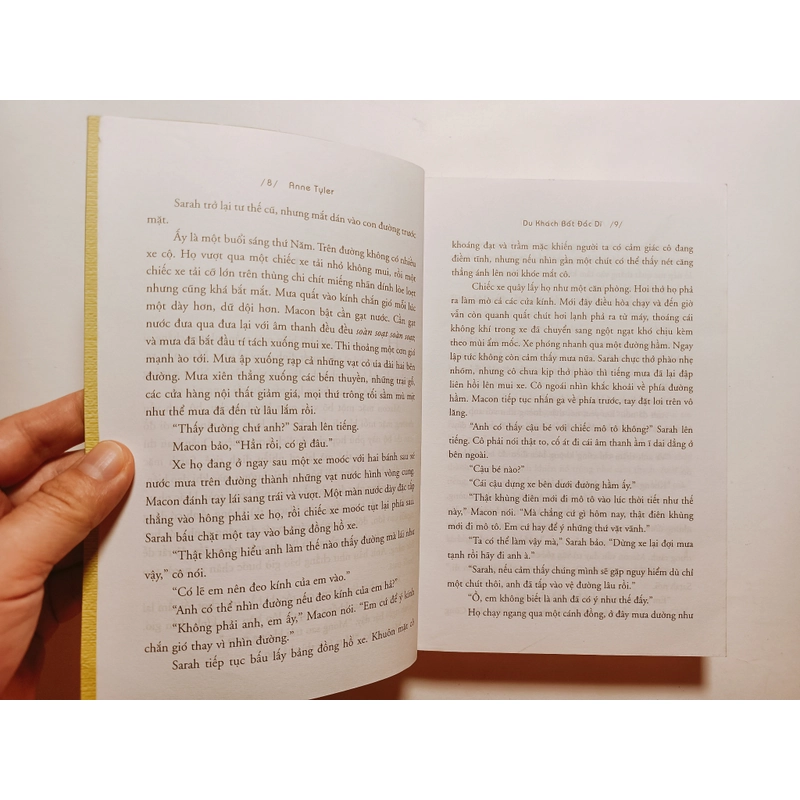 Du Khách Bất Đắc Dỹ - Anne Tyler  476993