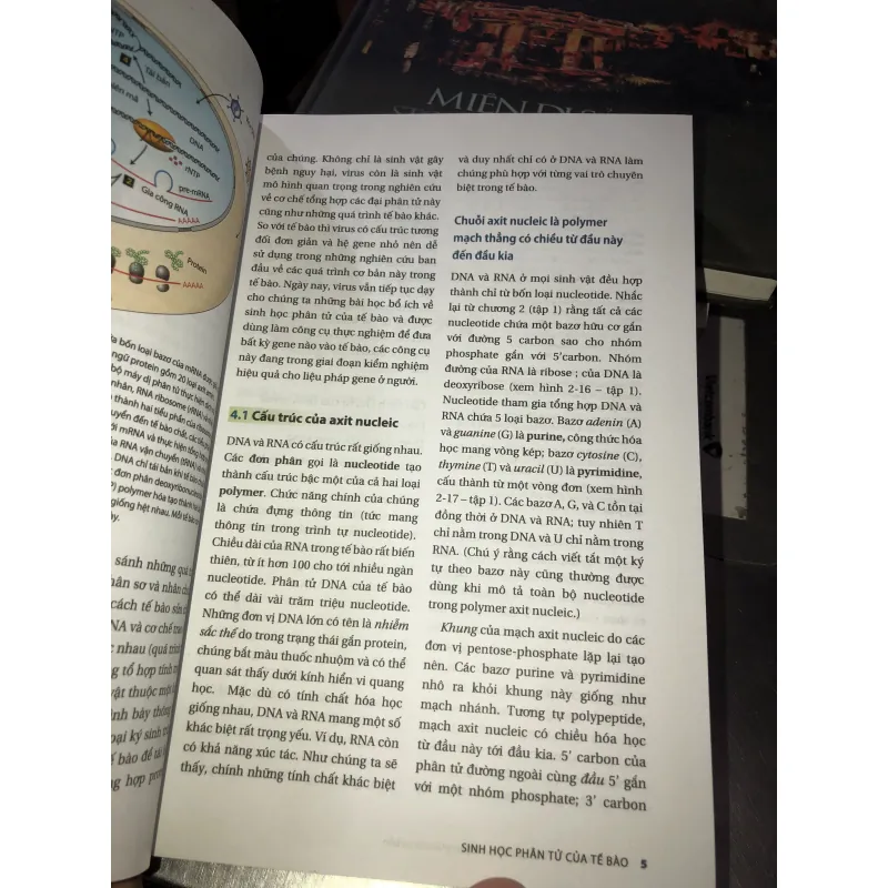 Sinh học phân tử của tế bào tập 2  1010154