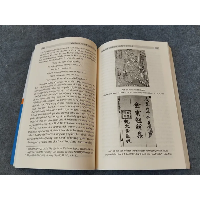 VĂN HOÁ TÍNH DỤC Ở VIỆT NAM THẾ KỶ X - XIX 720737