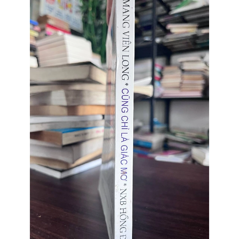 Mang Viên Long Cũng Chỉ Là Giấc Mơ - Không rõ 933636