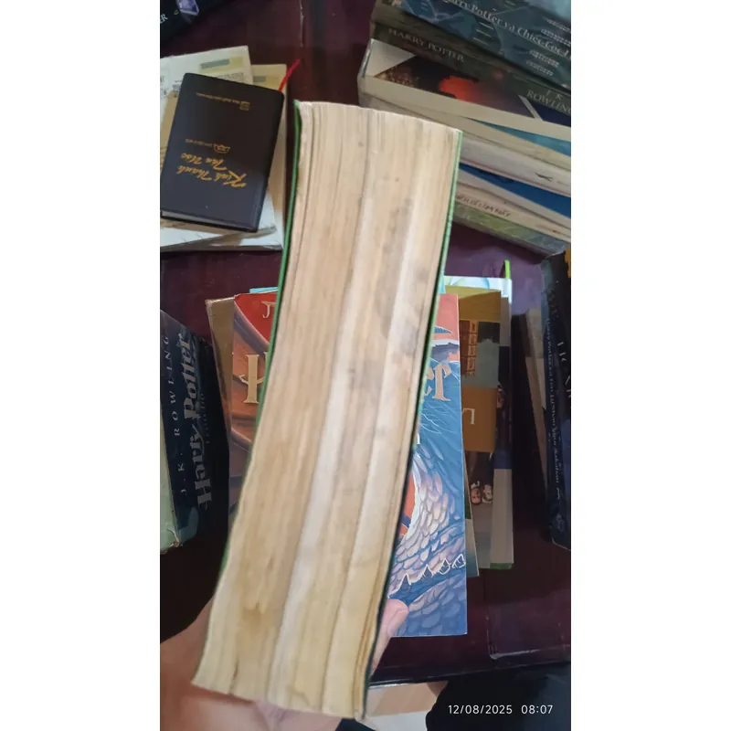 Harry Potter và Chiếc Cốc Lửa số La Tinh 4 nhũ bạc 493127