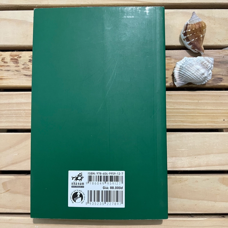 Tiểu thuyết Bắt trẻ đồng xanh - mới 99% 528165